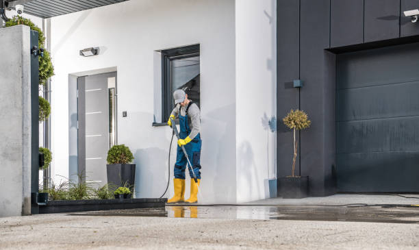 Best Sidewalk and Walkway Cleaning  in La Grange Park, IL
